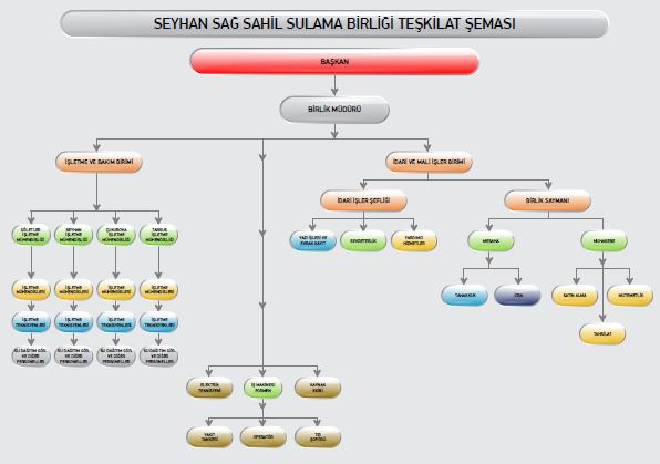 Organizasyon Şema 2025 HAZIR resim